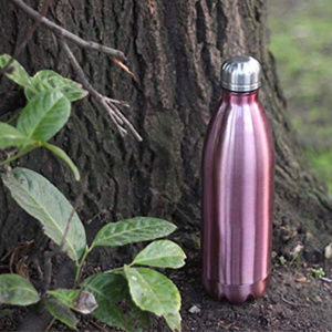 Rose Gold Pink Stainless Steel water bottle 25oz